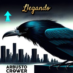 LLEGANDO (Febrero 2024)